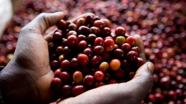 SingleServe_SupportComponent